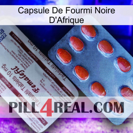 Africa Black Ant Capsule 36